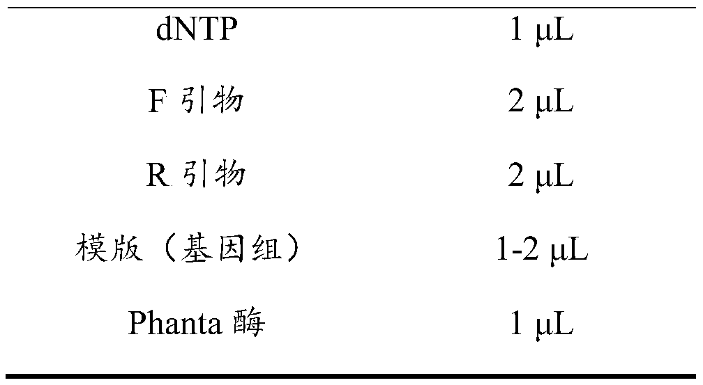 Method for increasing yield of cellulase produced by Trichoderma reesei