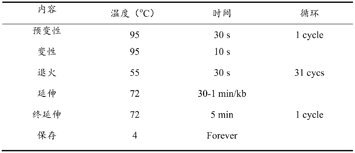 Method for increasing yield of cellulase produced by Trichoderma reesei