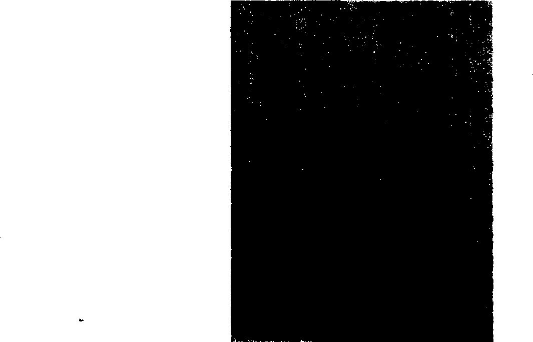 Silver-copper-carbon-rare earth alloy material and production thereof