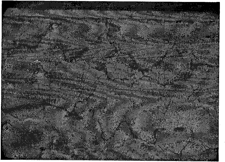 Method for preparing sliver-tin oxide and indium oxide electrical contact material by gradient internal oxidation method and material thereof