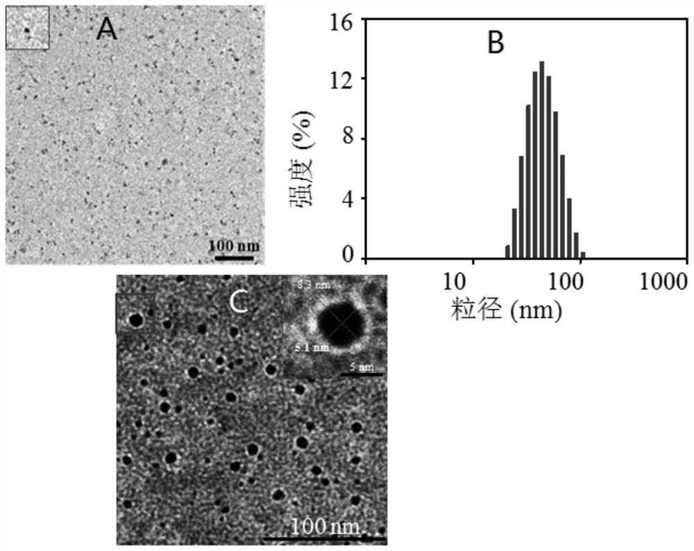 Platinum drugphotosensitizer-loaded protein nanoparticles and preparation method and application thereof