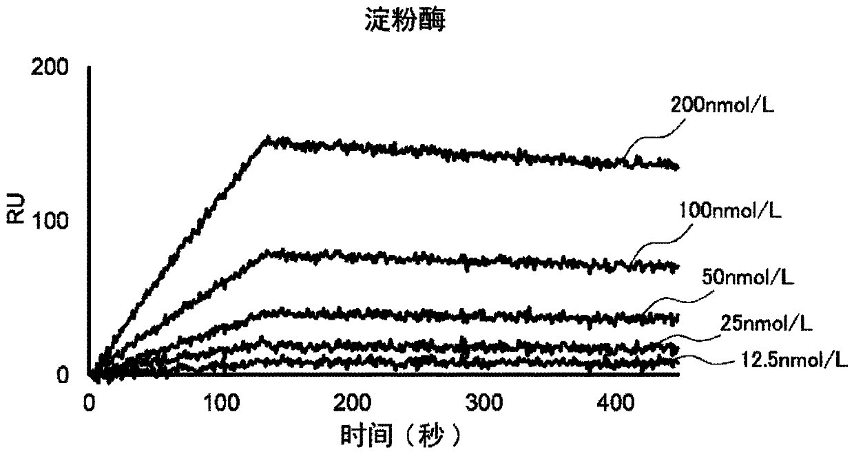 Nucleoside derivative or salt thereof, polynucleotide synthesis reagent, polynucleotide production method, polynucleotide, and binding nucleic acid molecule production method