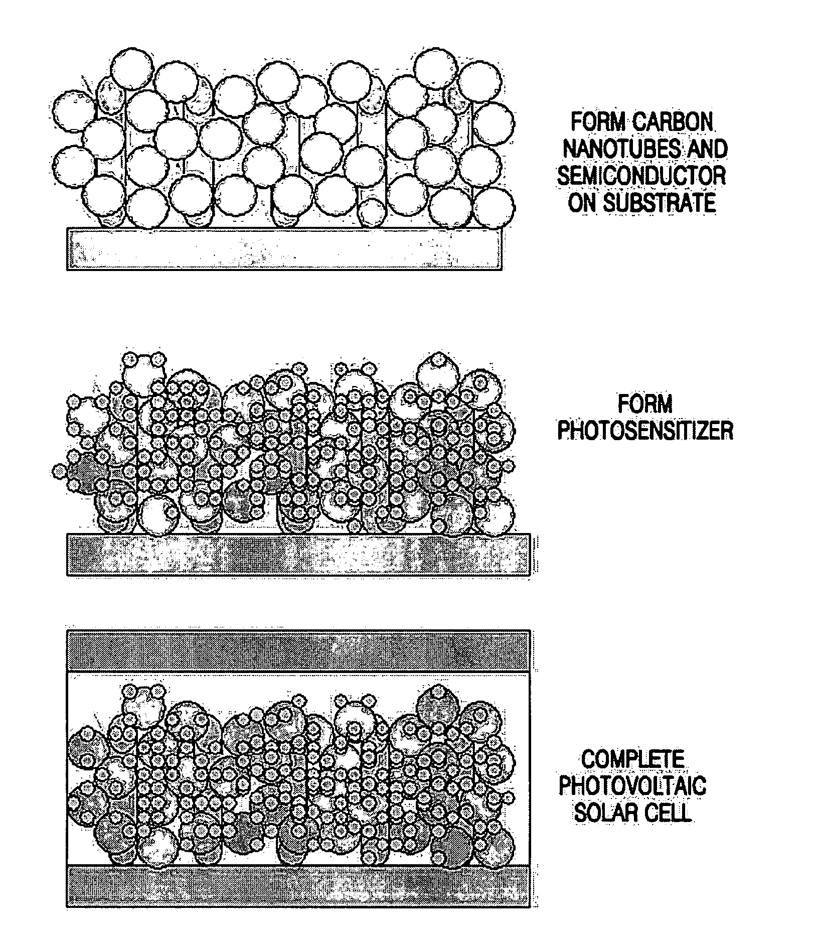 Photoanode using carbon nanotubes, method of manufacturing the photoanode, and photovoltaic solar cell including the photoanode