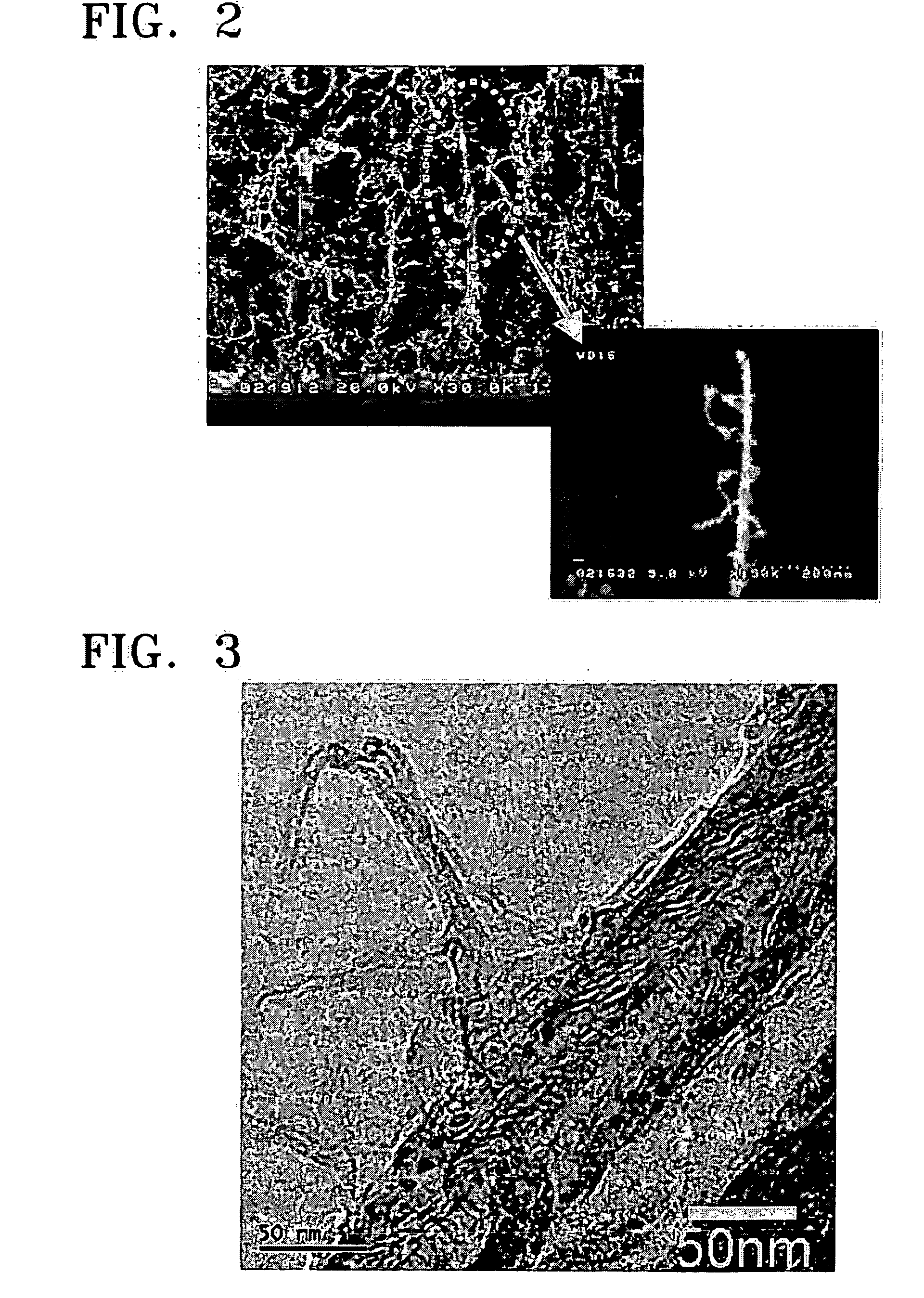 Photoanode using carbon nanotubes, method of manufacturing the photoanode, and photovoltaic solar cell including the photoanode