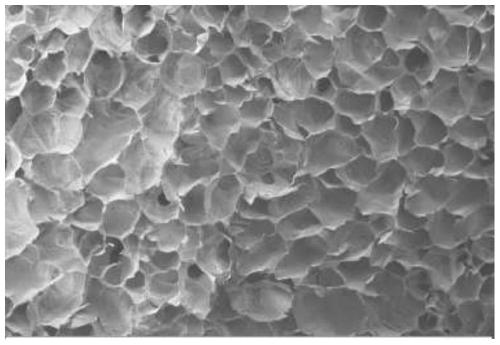 Aminoized hydroxyapatite/chitosan composite aerogel as well as preparation method and application thereof