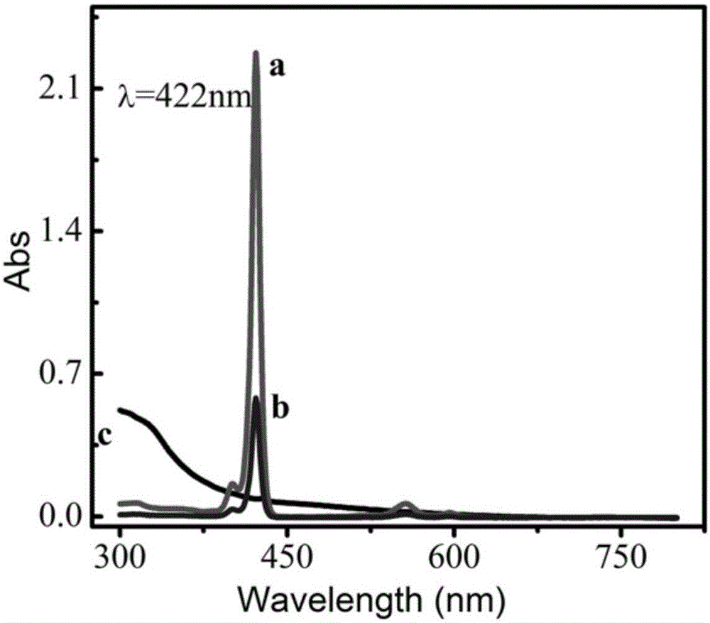 Meta-zinc tetraphenylporphyrin-based electrogenerated chemiluminescence body as well as preparation method and application thereof