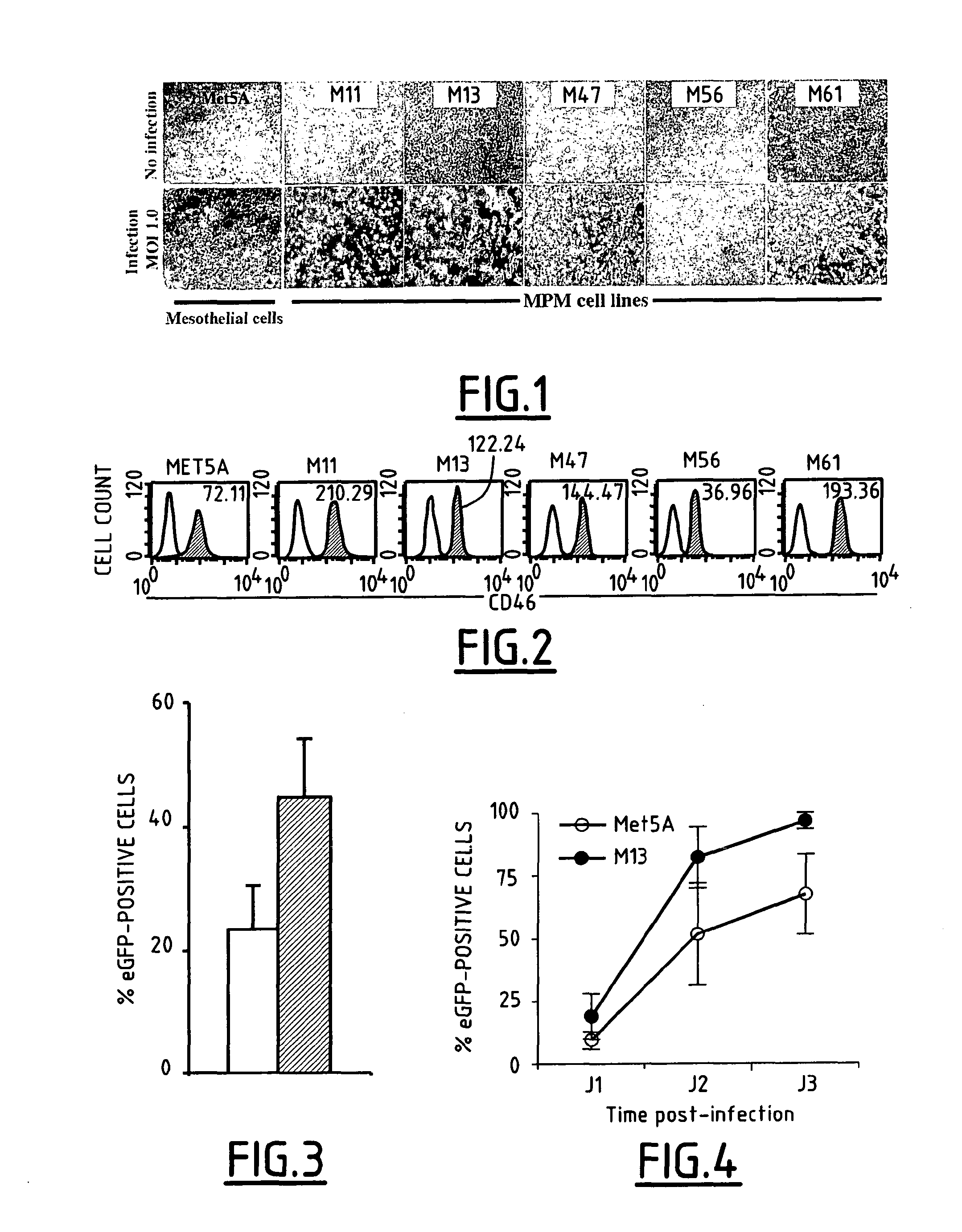 Medicaments and methods for treating mesothelioma