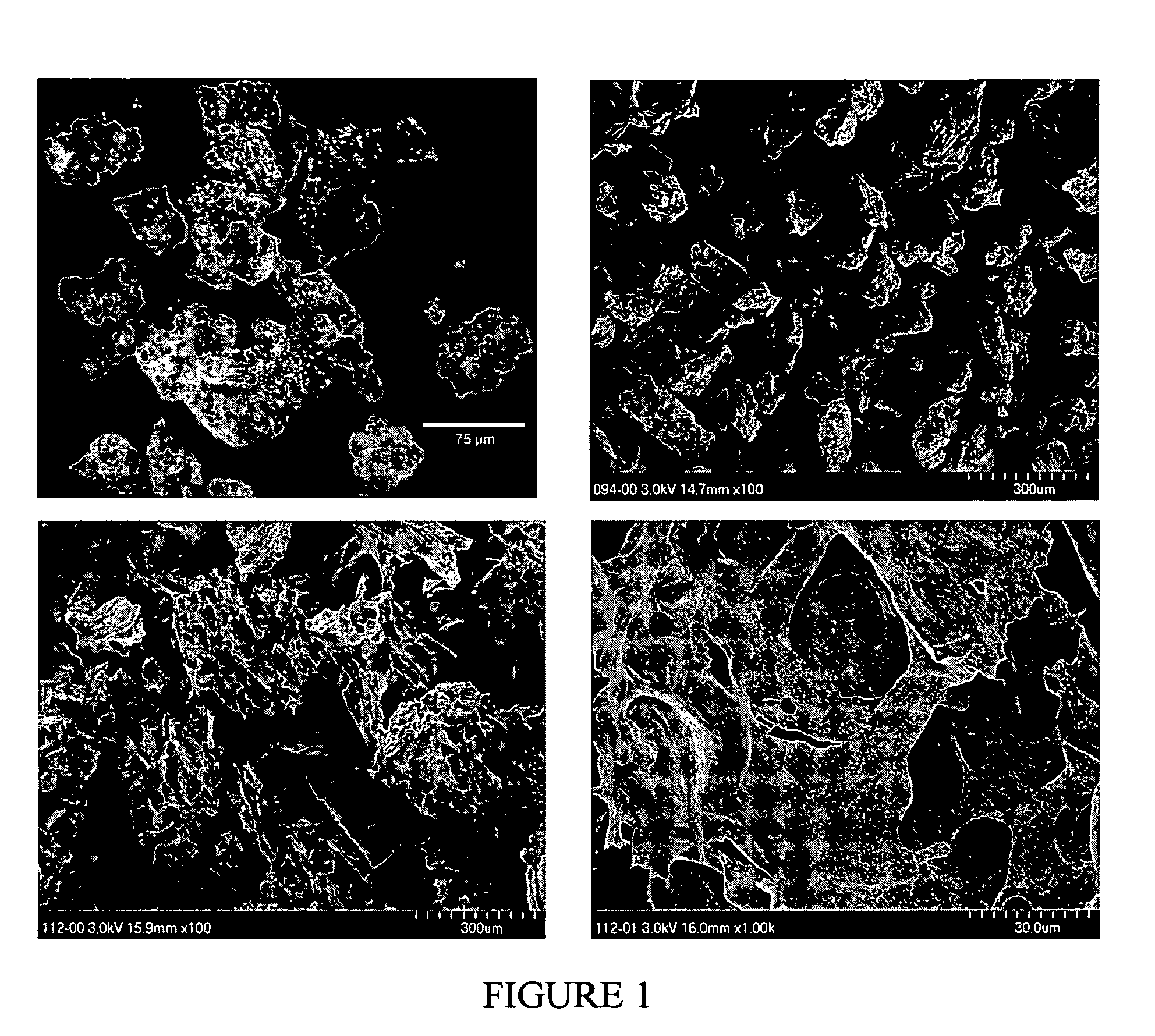 Biocompatible protein particles, particle devices and methods thereof