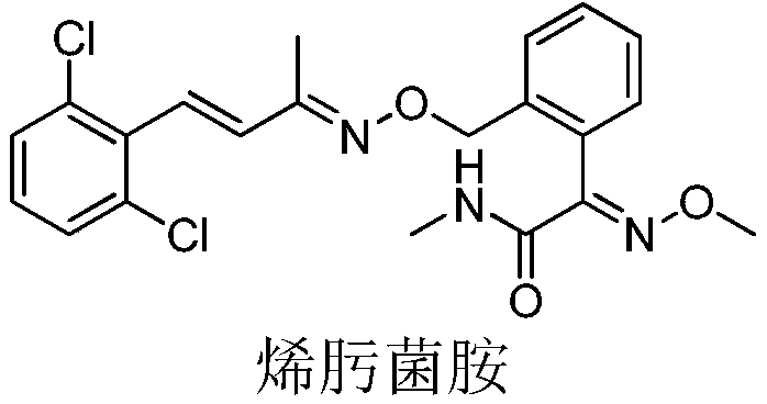 A kind of method for preparing unsaturated oxime ether compound