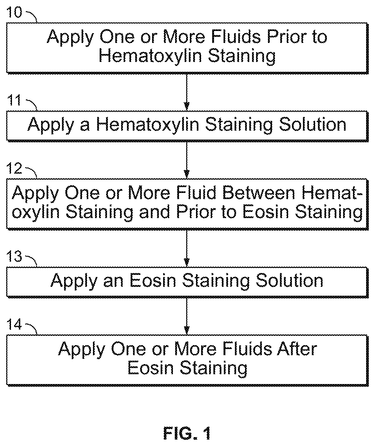 Eosin staining techniques