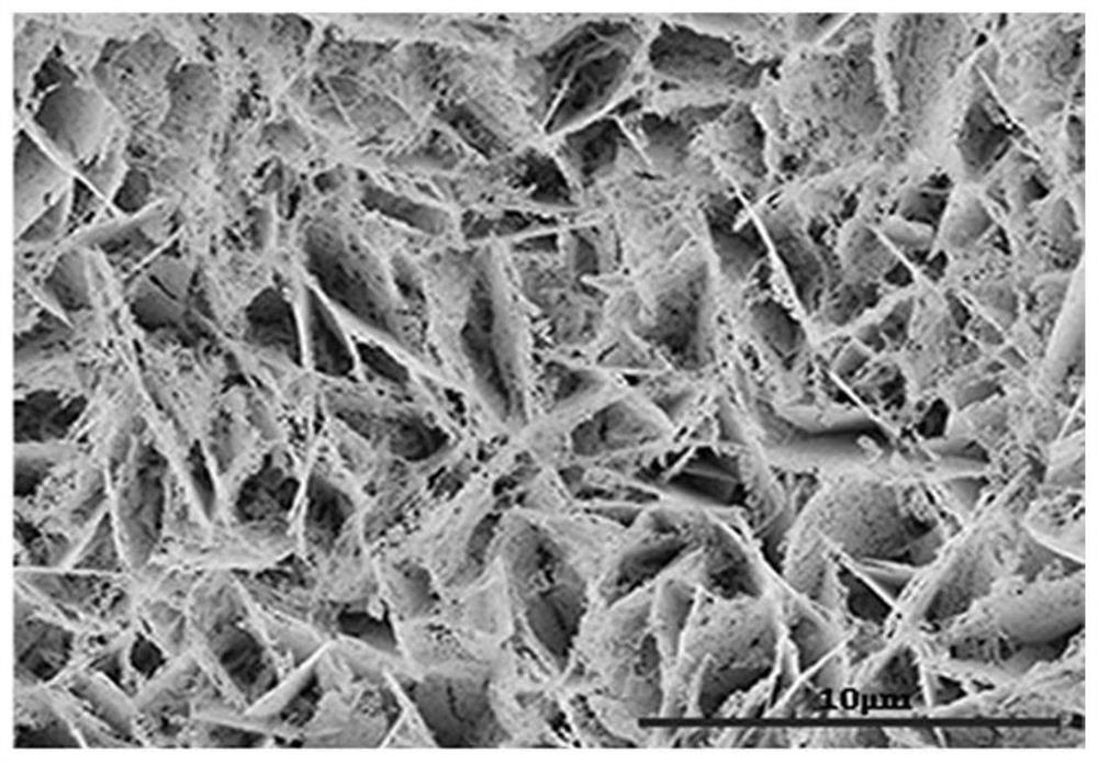 Preparation method and application of high-performance cobalt-based oxygen evolution electrocatalytic nano material