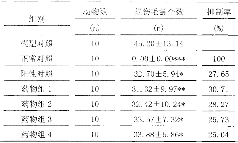 Drug composition for treating sebrrheic alopecia and preparation method thereof
