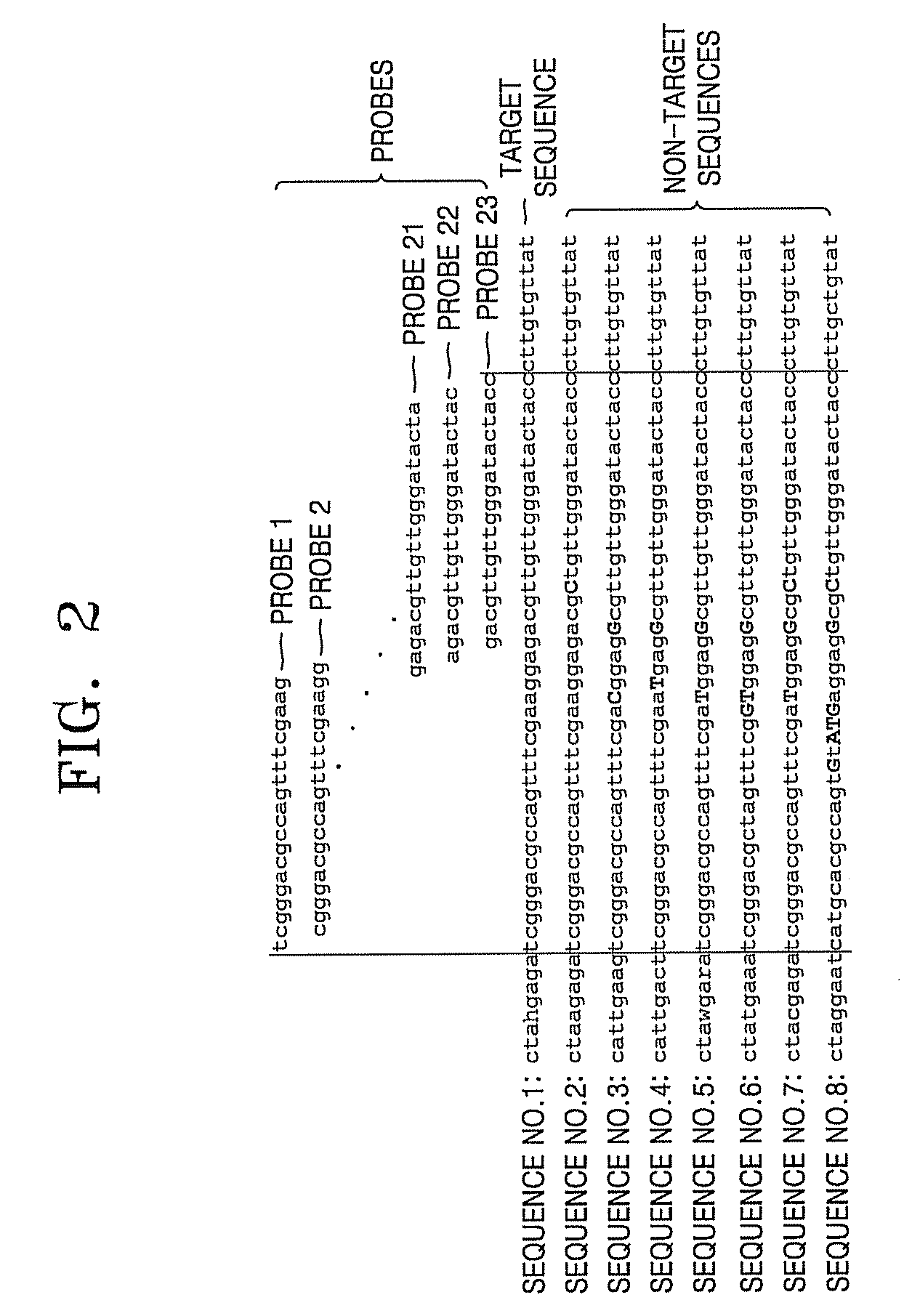 Method of designing probes for detecting target sequence and method of detecting target sequence using the probes