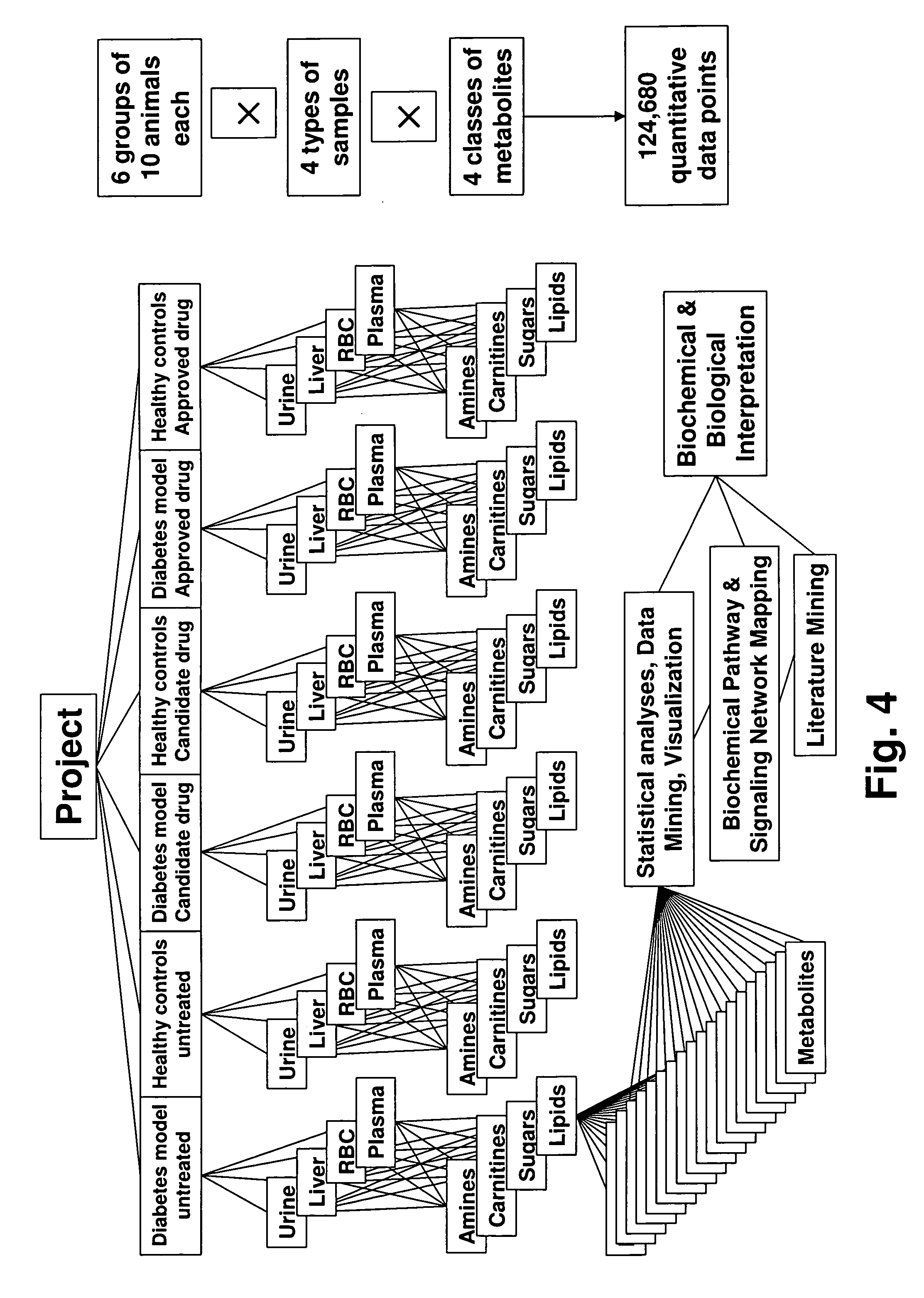Apparatus and method for analyzing a metabolite profile