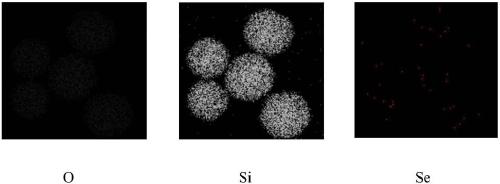 Selenium-doped mesoporous silica antibacterial material and preparation method thereof
