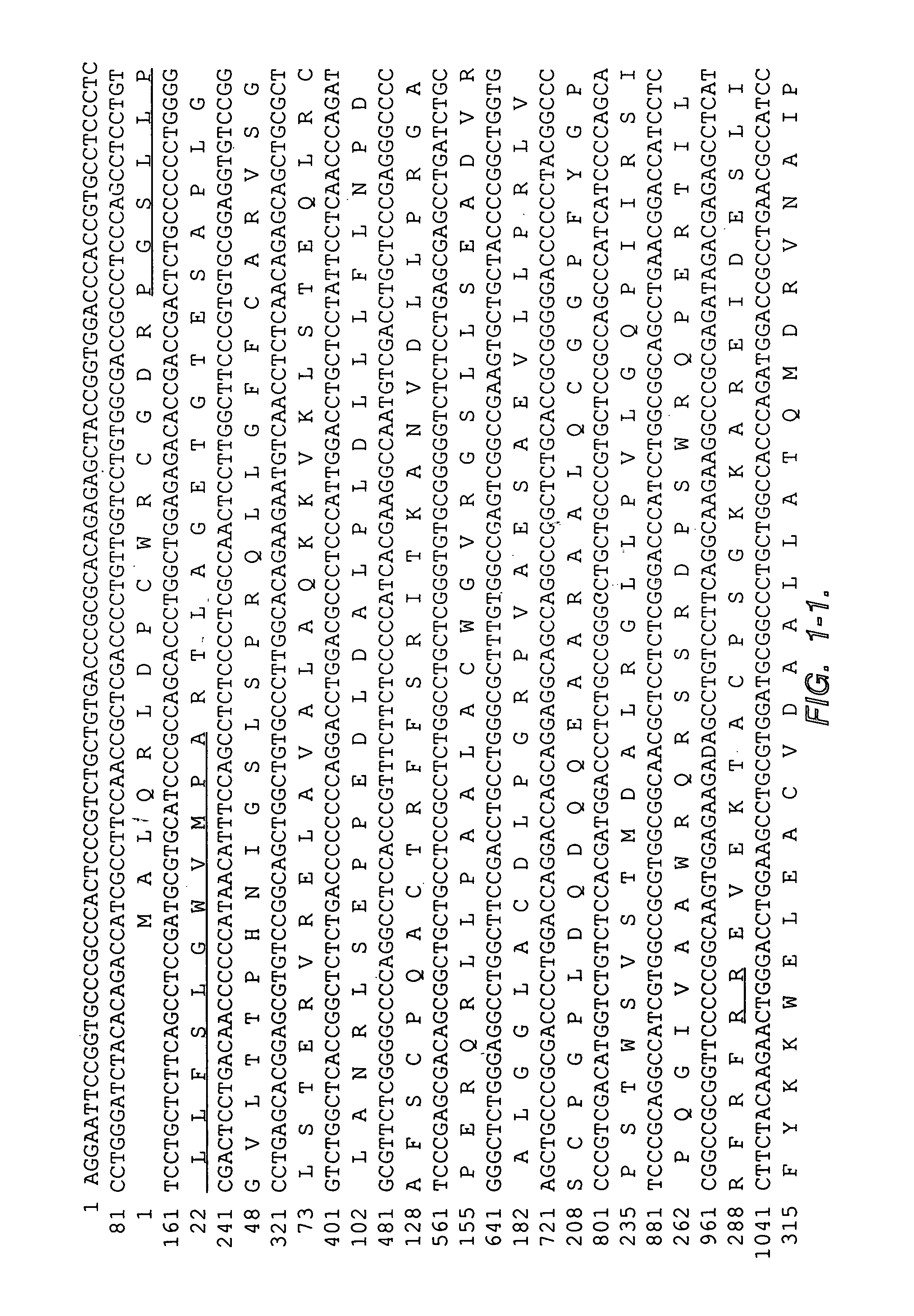 Mesothelin, immunogenic peptides derived therefrom, and compositions comprising mesothelin, or immunogenic peptides thereof