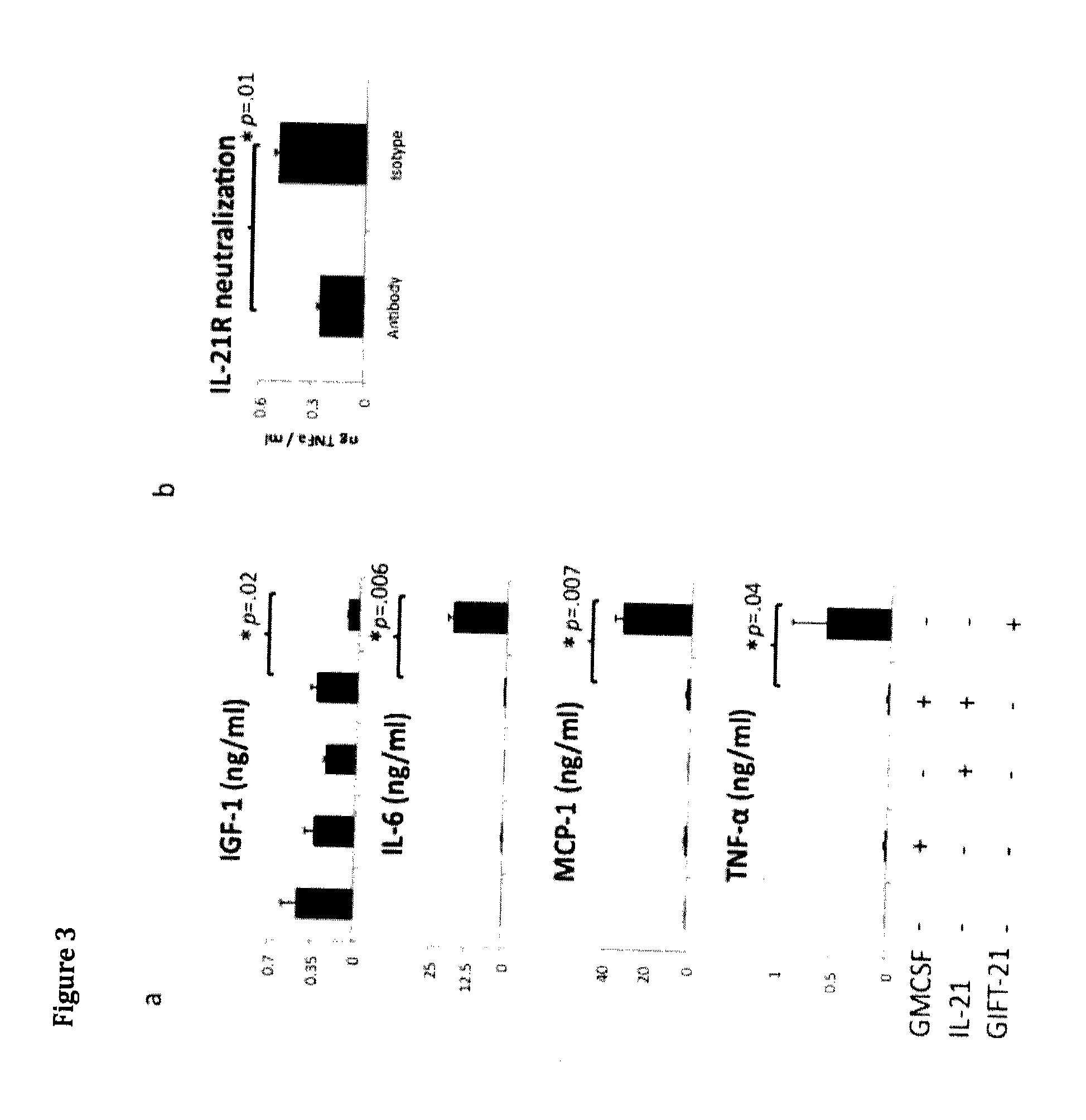 Gm-csf and interleukin-21 conjugates and uses thereof in the modulation of immune response and treatment of cancer