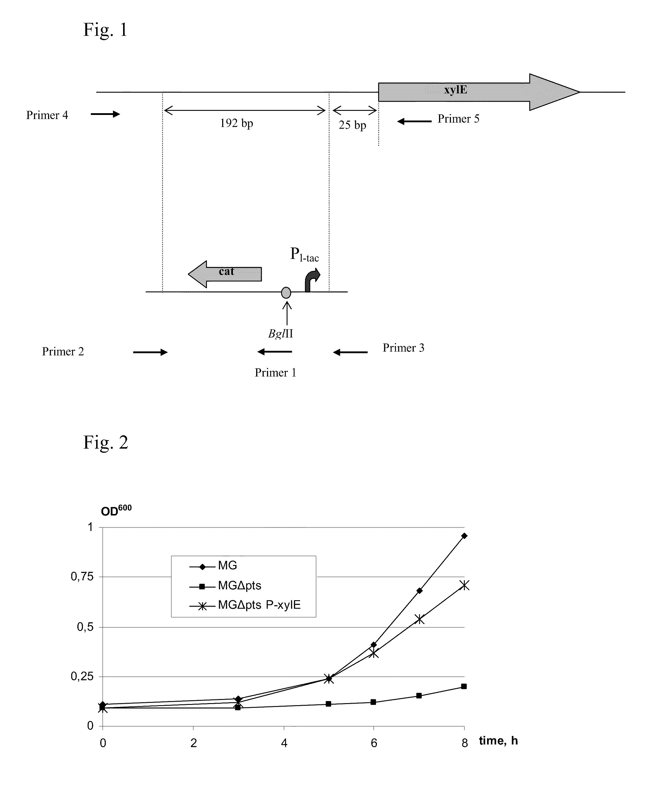 Method for producing l-amino acids using bacteria of the enterobacteriaceae family