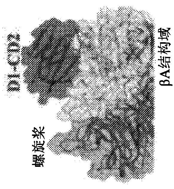 Integrin-targeting protein and methods of use thereof