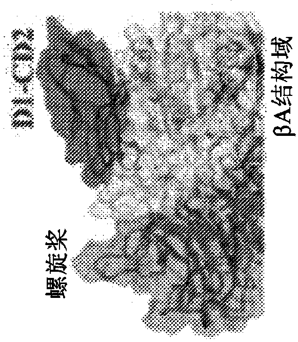 Integrin-targeting protein and methods of use thereof