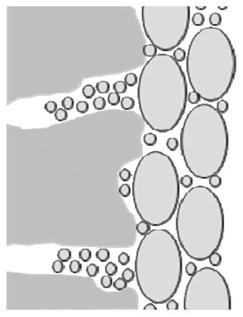 Concrete primer and its preparation method and concrete structure