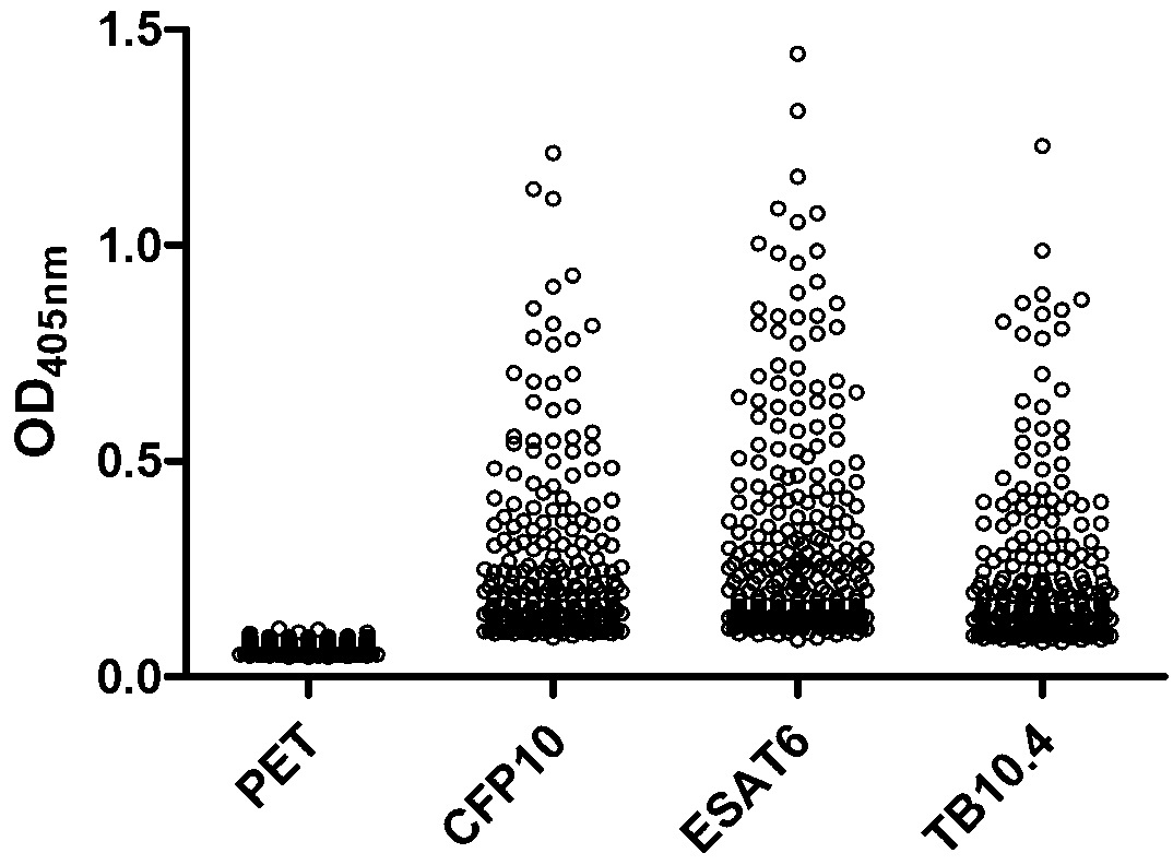 Bovine tuberculosis detection reagent containing recombinant protein mixture