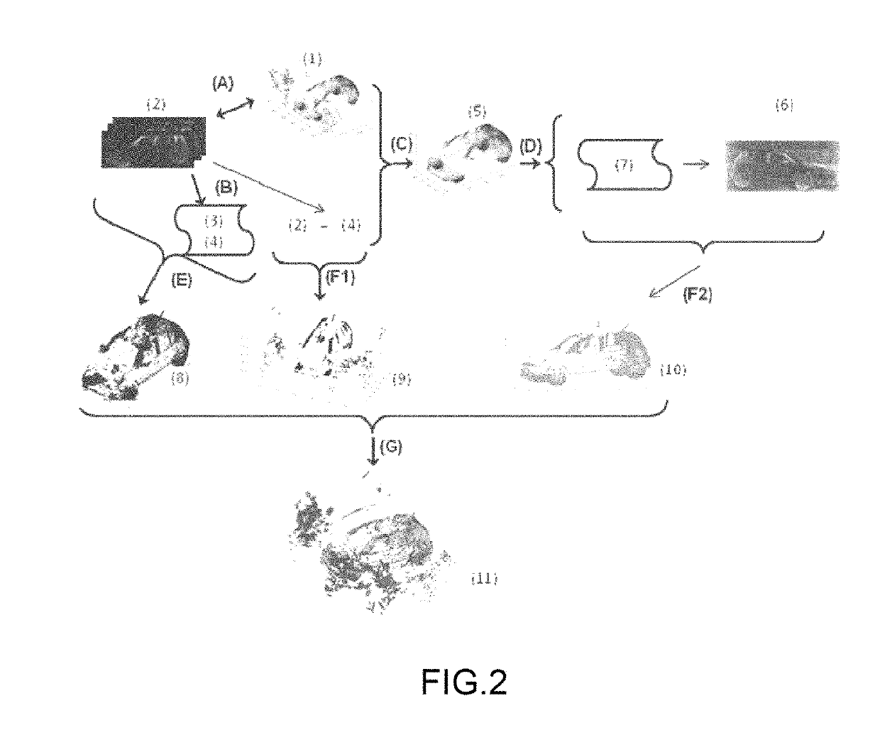 Method for discrimination and identification of objects of a scene by 3-D imaging