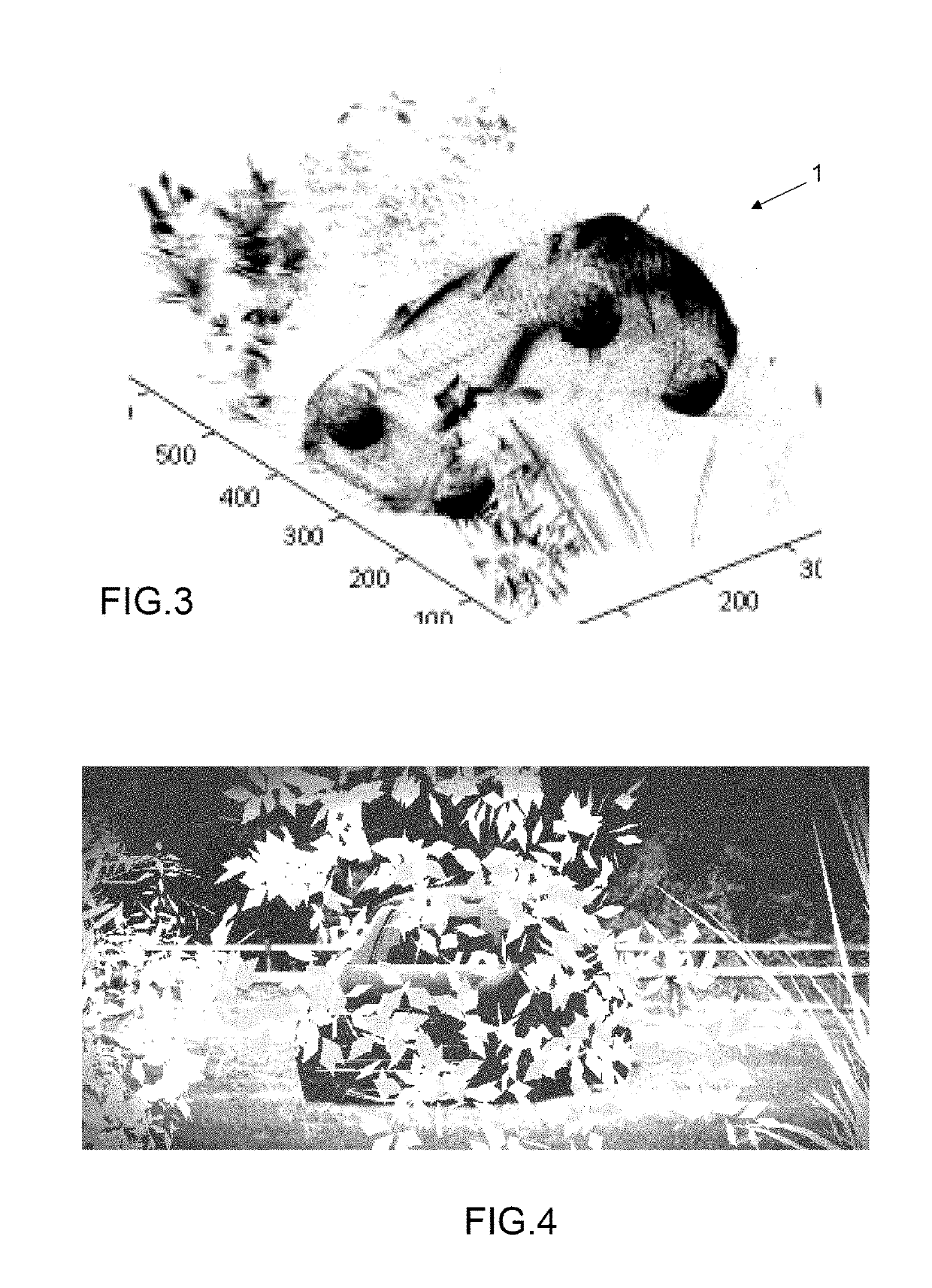 Method for discrimination and identification of objects of a scene by 3-D imaging