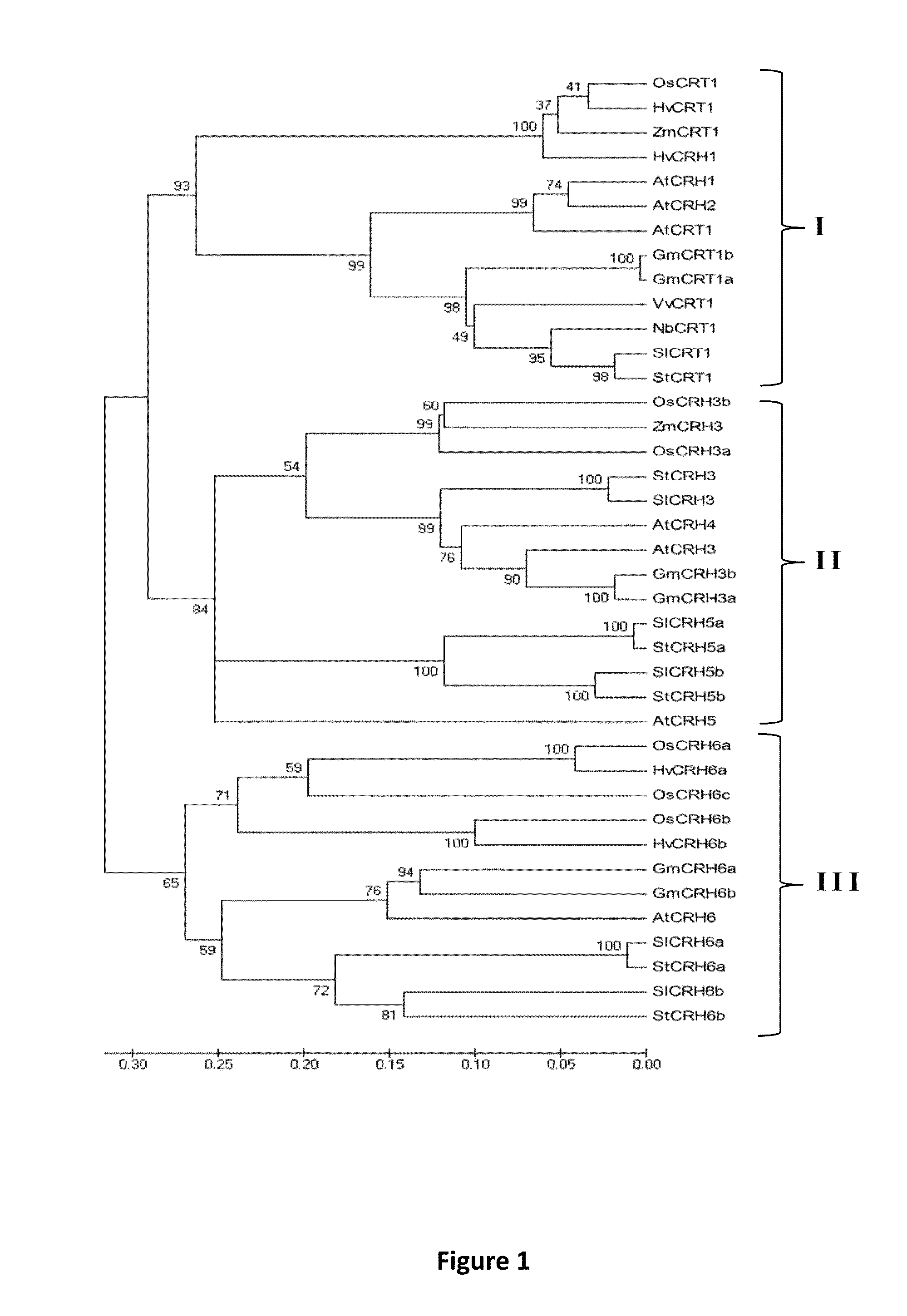 Compositions and Methods for the Generation of Disease Resistant Crops