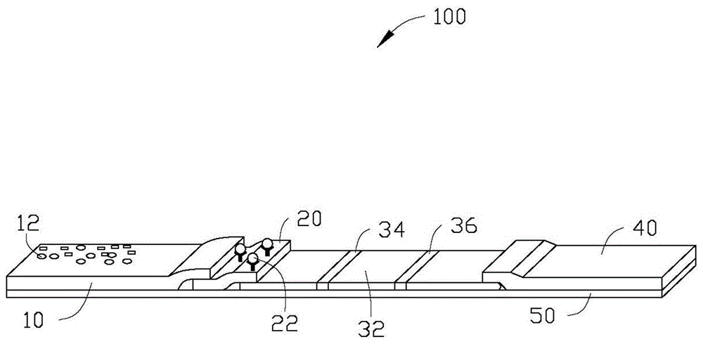 Immunochromatographic test paper strip, portable detection instrument and detection method