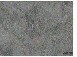 Preparation method of cellulose nanofiber