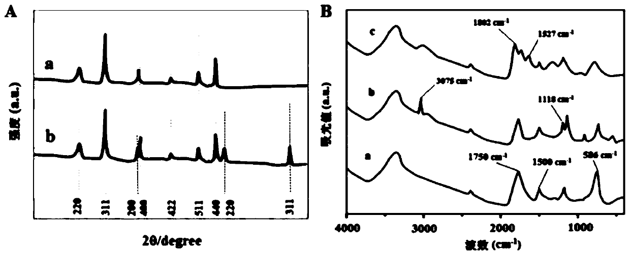 A preparation method of magnetically controlled aptasensor for antibiotic detection