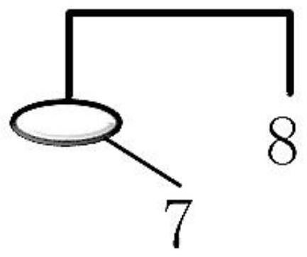 Mobile detection device for space charge distribution in motor bar insulation