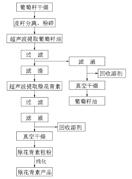 Method for extracting oil and procyanidin from grape seeds