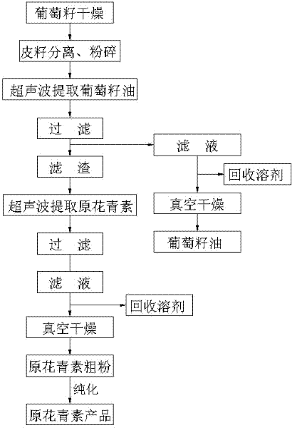 Method for extracting oil and procyanidin from grape seeds