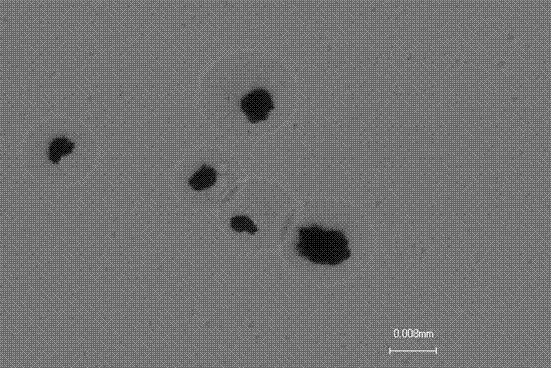 Preparation method of magnetic sepharose gel microspheres