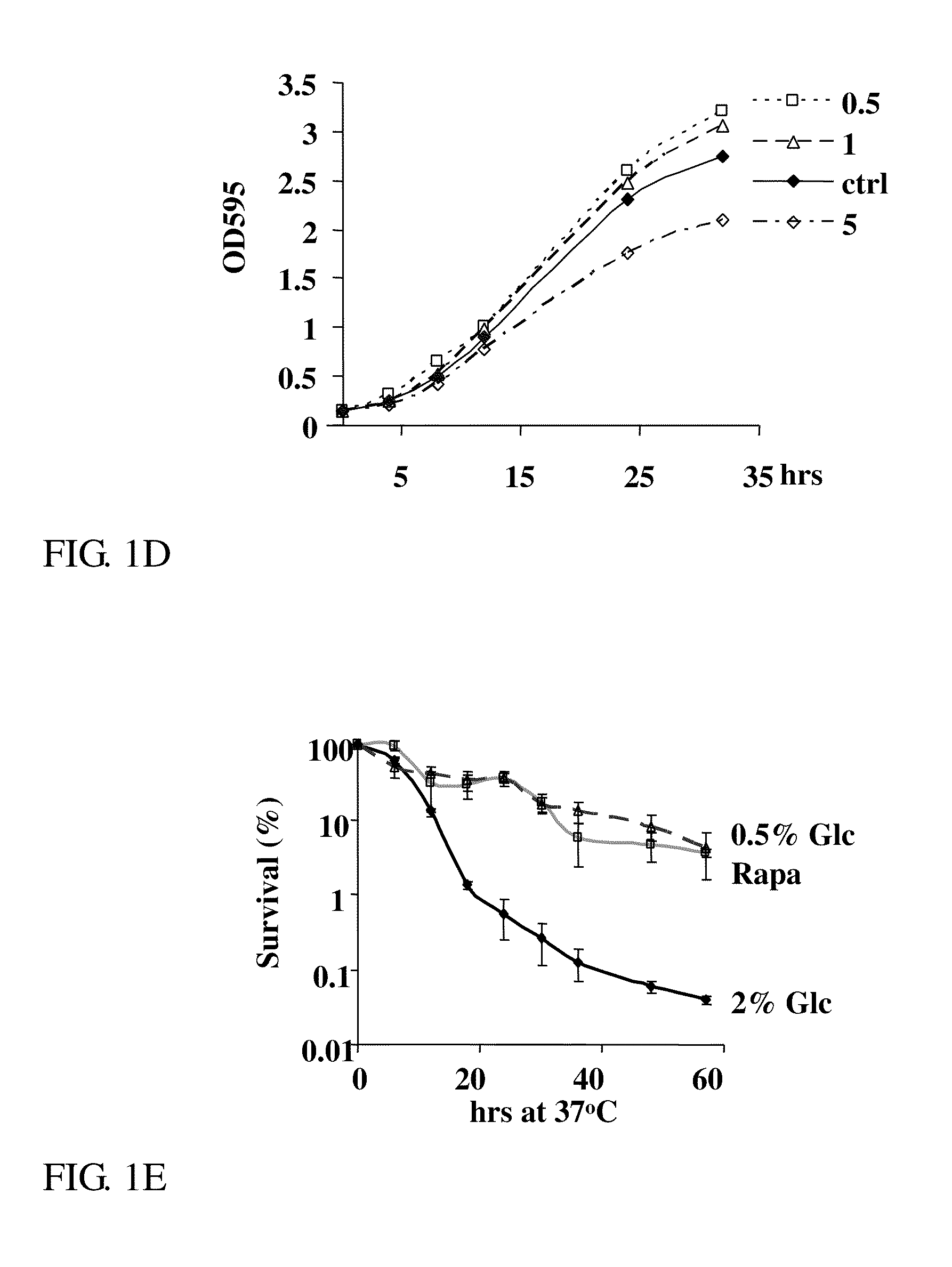 Novel anti aging agents and methods to identify them