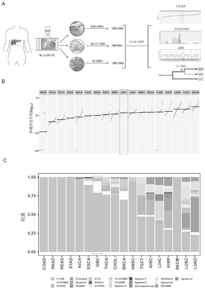 Kit for early diagnosis of gallbladder cancer and application thereof