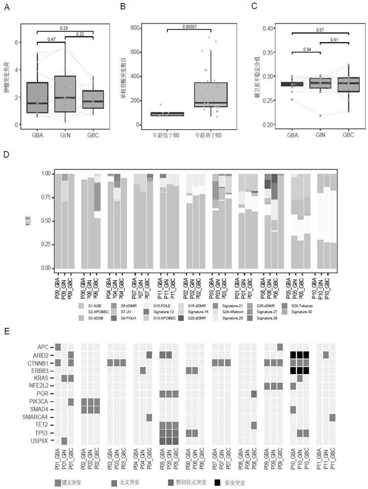 Kit for early diagnosis of gallbladder cancer and application thereof