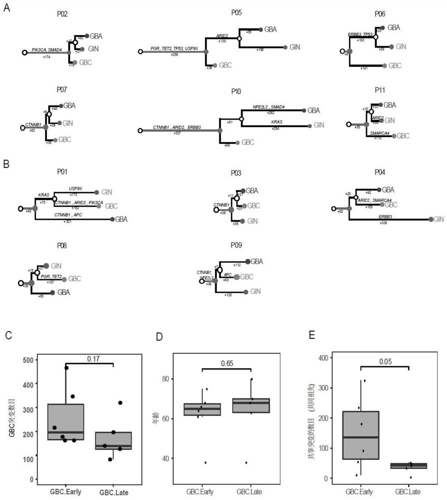 Kit for early diagnosis of gallbladder cancer and application thereof