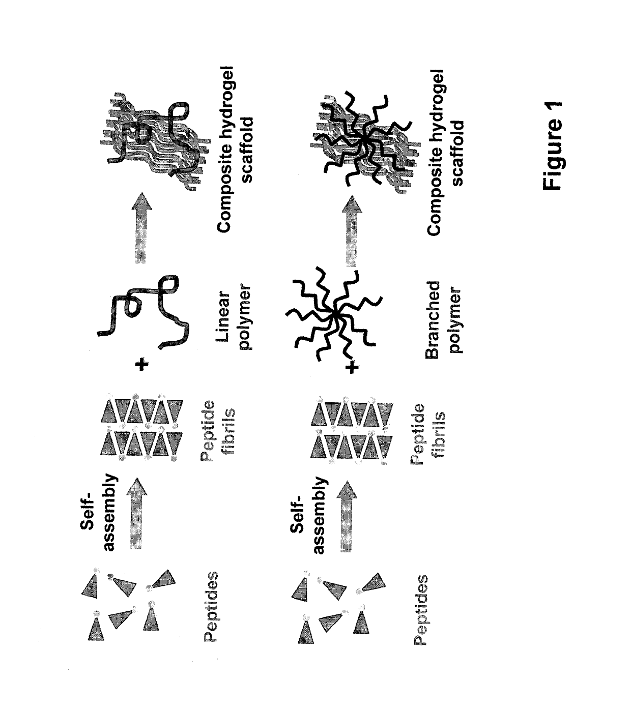 Self-assembled composite ultrasmall peptide-polymer hydrogels