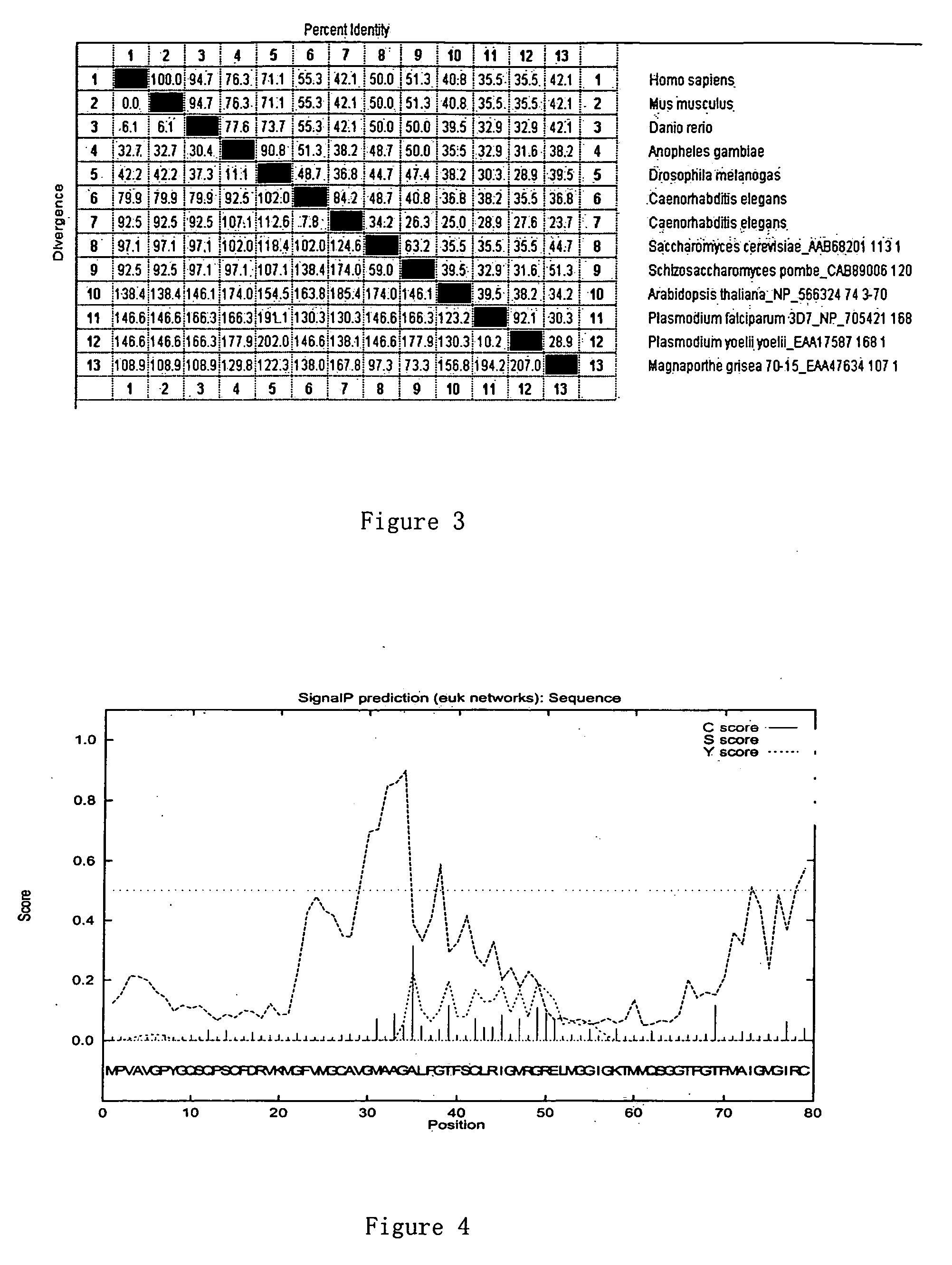 Glycine-rich proteins, their coding genes and applications