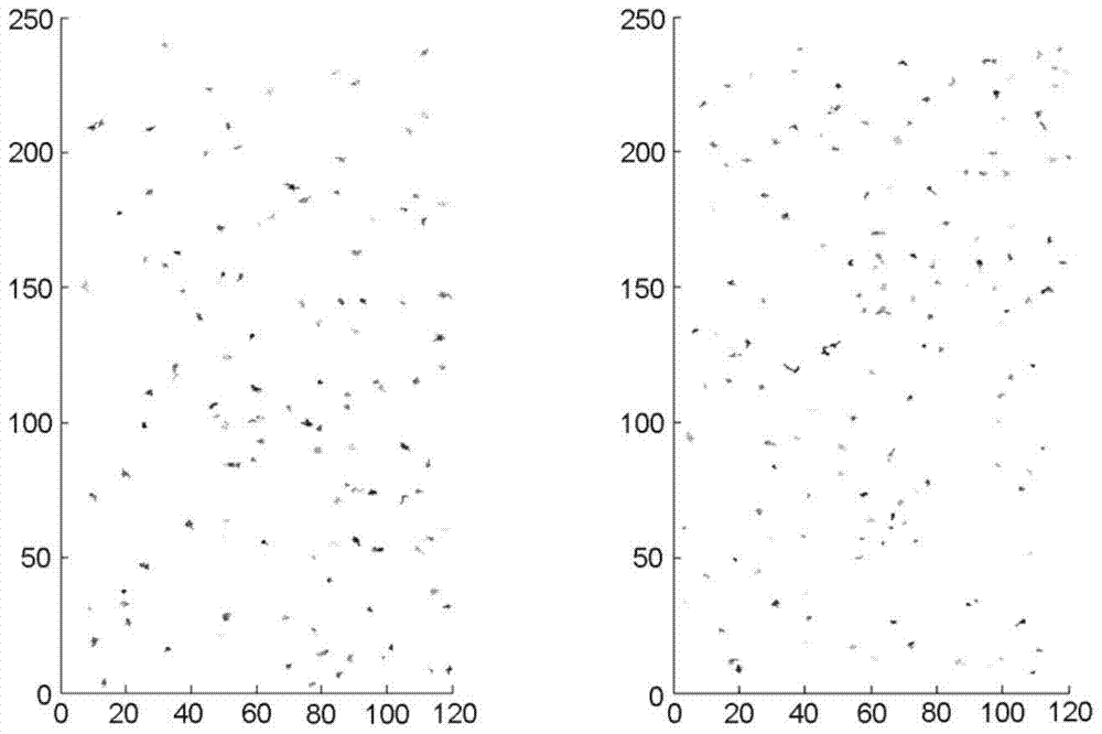 A method for detecting the laterally restricted area of ​​membrane proteins in living plants