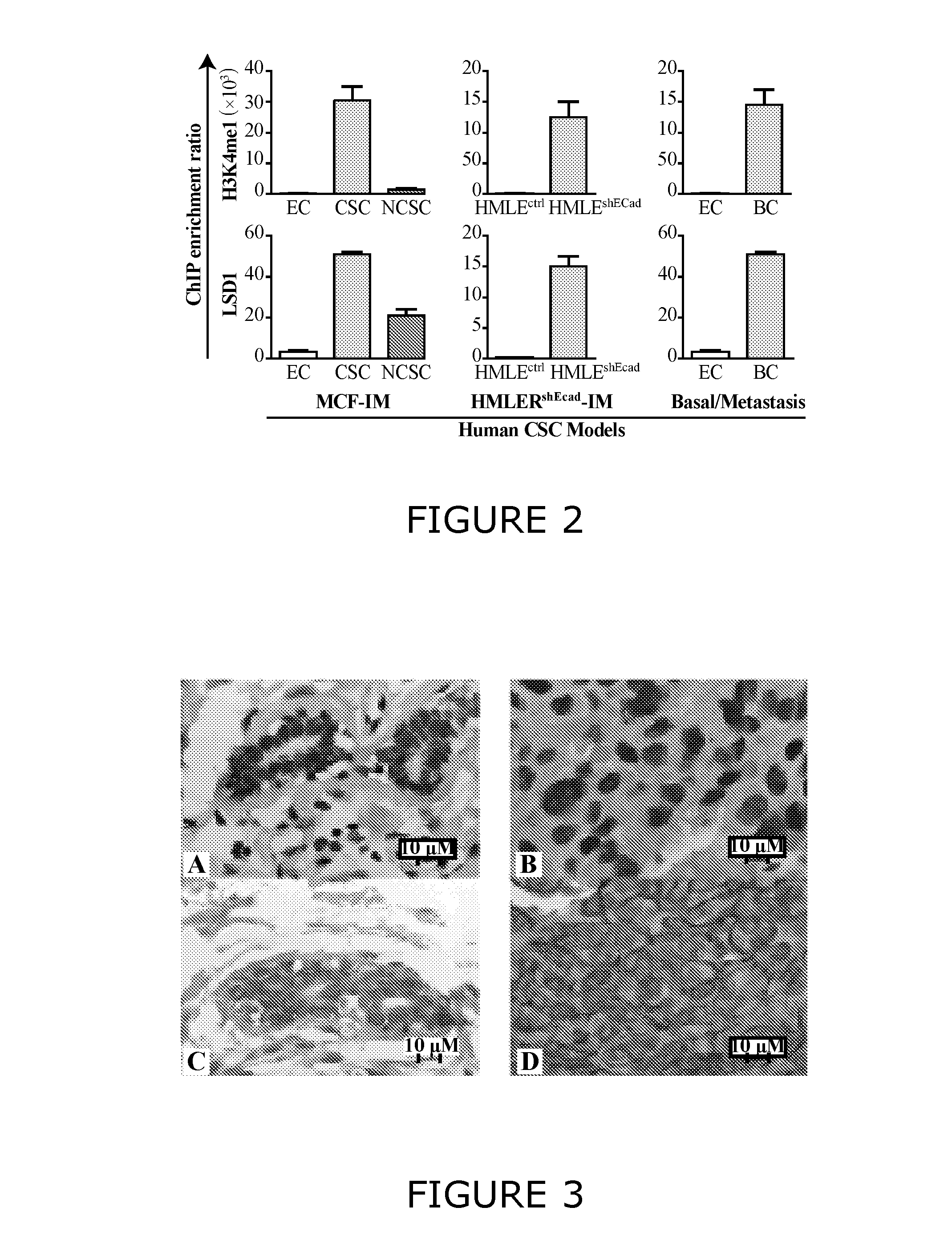 Methods and compositions for modulating cancer stem cells