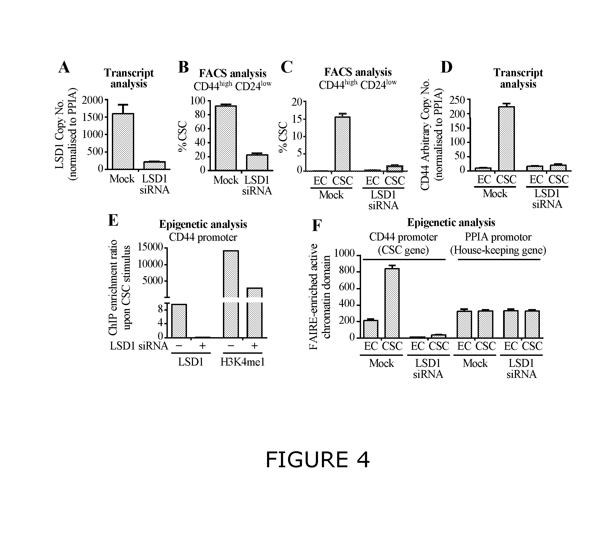 Methods and compositions for modulating cancer stem cells