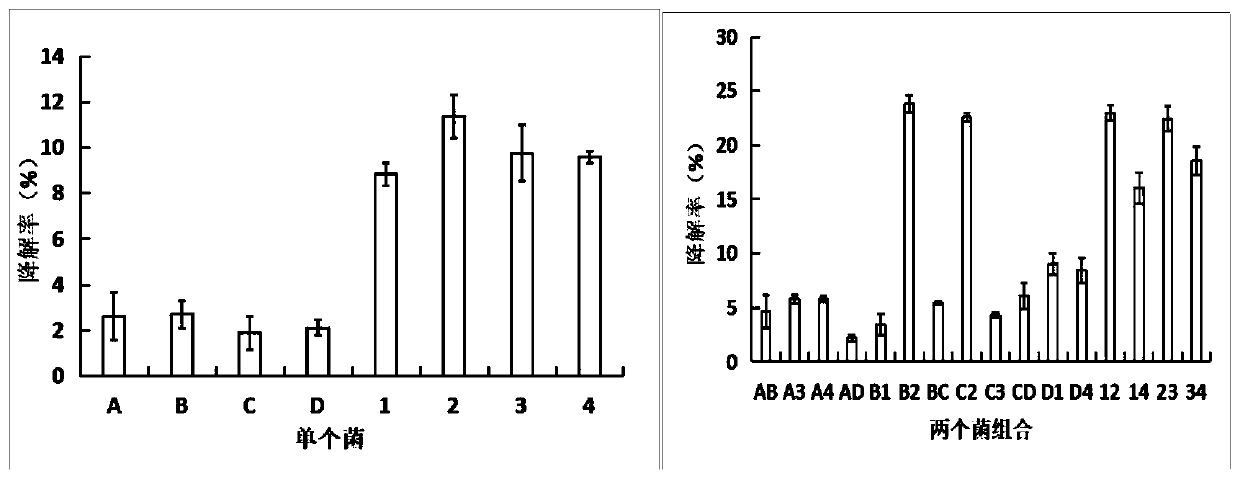 Composite microbial inoculum for degradation of livestock and poultry manure position and application of composite microbial inoculum