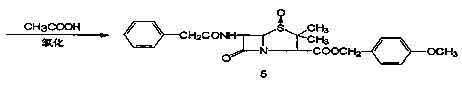 Preparation of 7-phenylacetamide-3-chloromethyl cephalosporanic acid p-methoxybenzyl ester