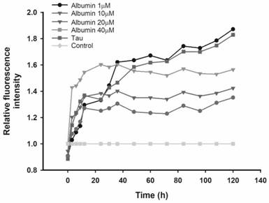 Application of Albumin in inhibition of abnormal aggregation of Tau protein