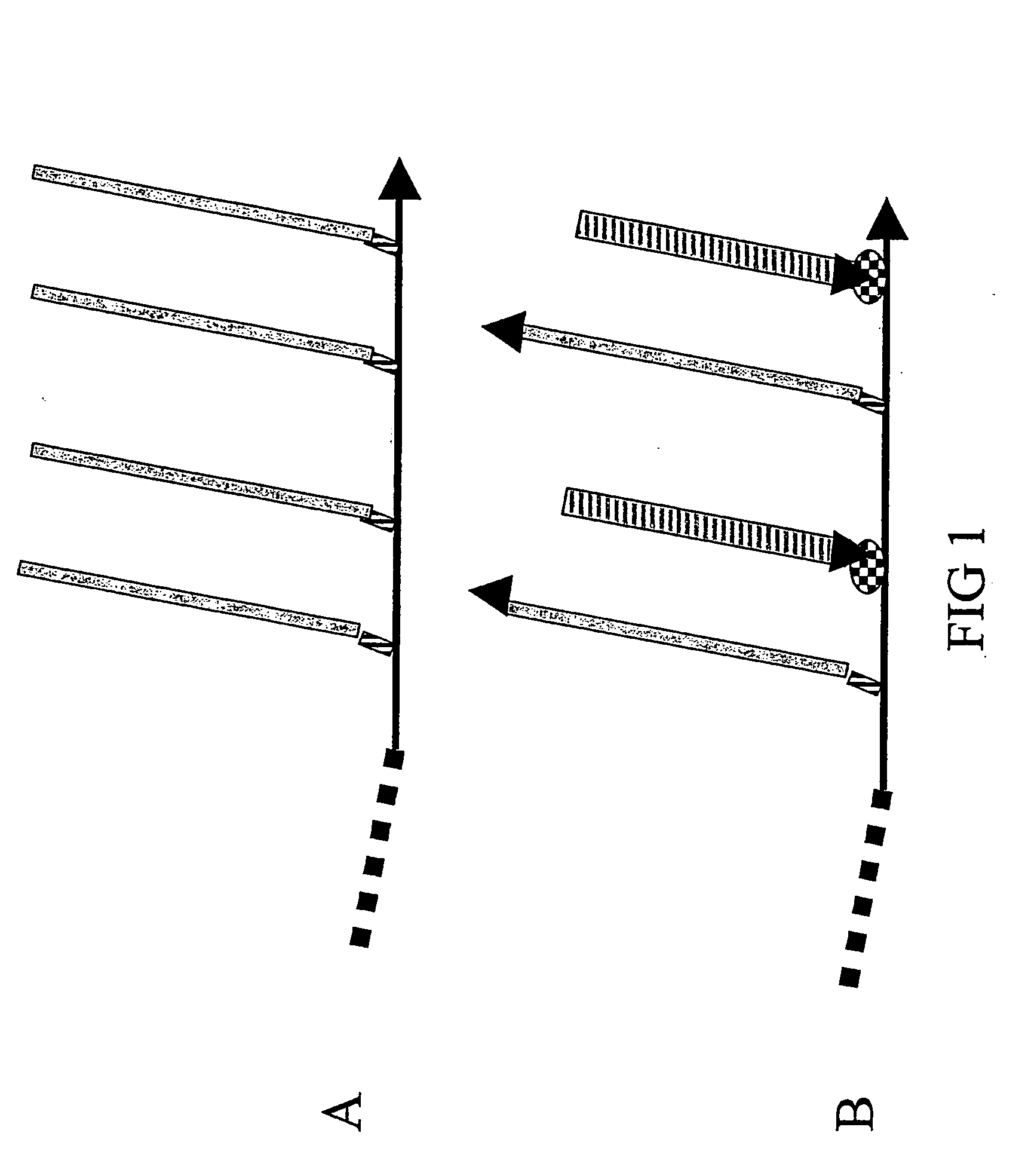 Composite peptide compounds for diagnosis and treatment of diseases caused by prion proteins