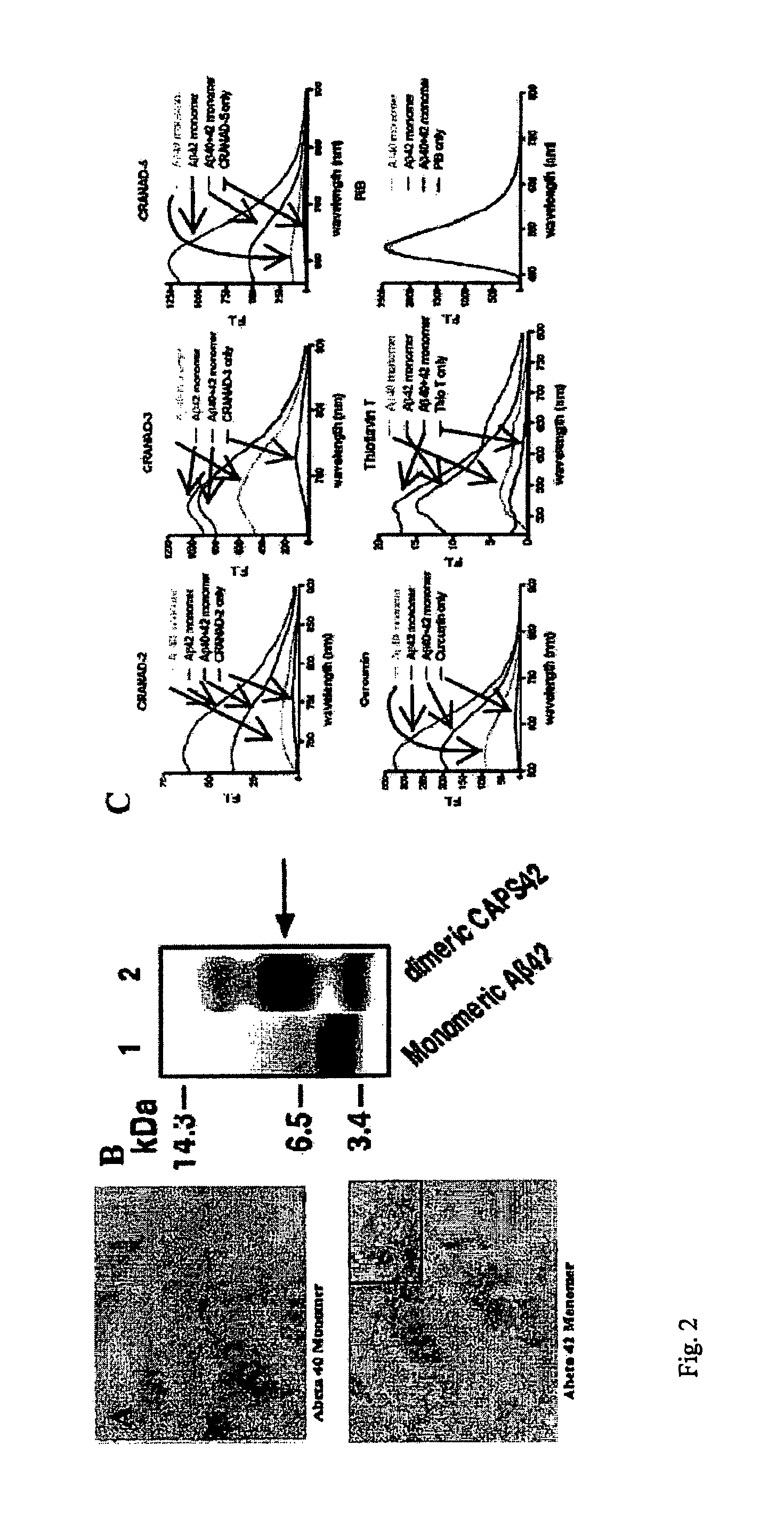 Methods and System for Detecting Soluble Amyloid-Beta